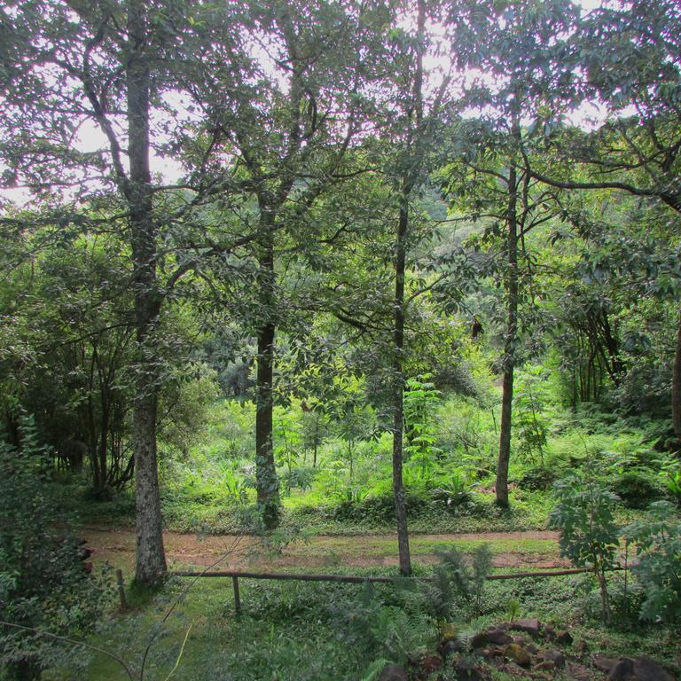 Old Pine Cabin Karkloof Yarrow Exterior foto