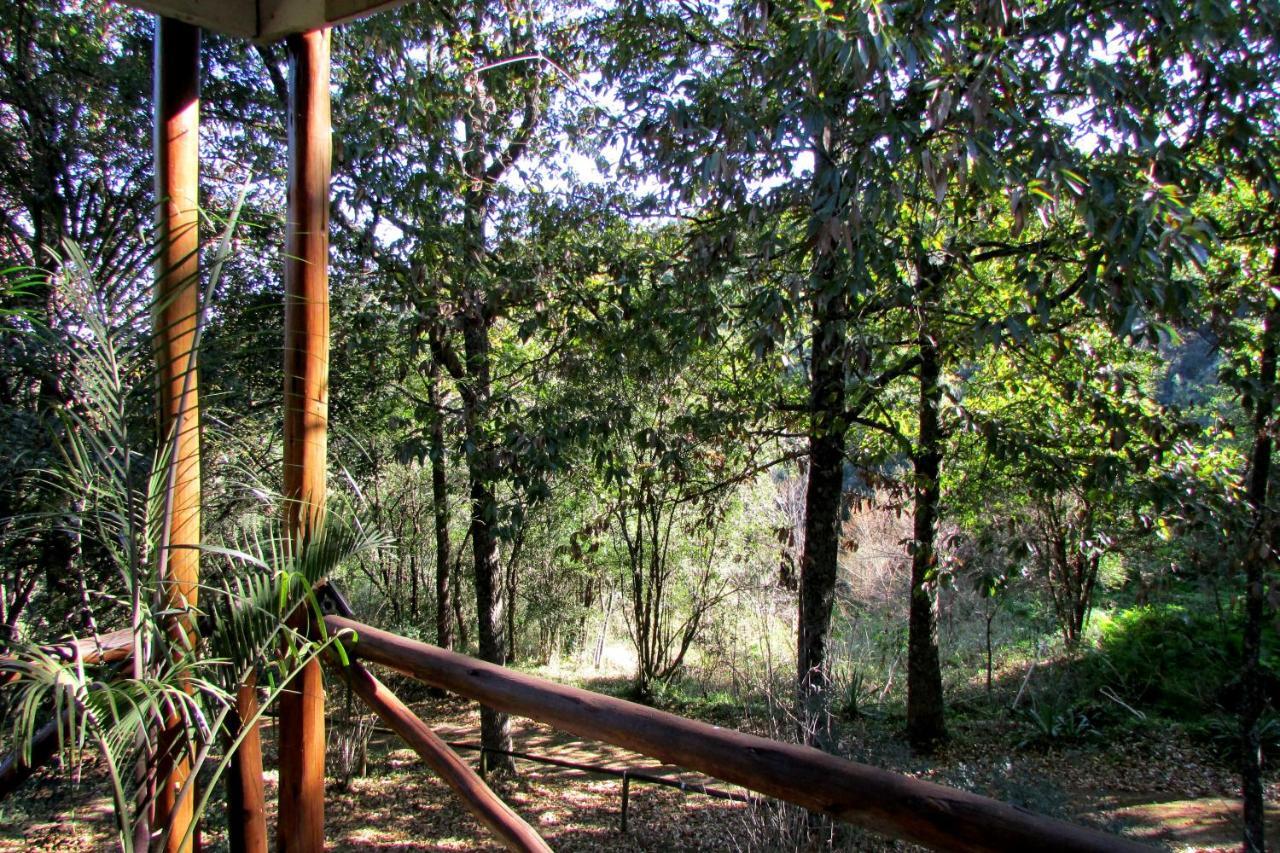 Old Pine Cabin Karkloof Yarrow Exterior foto